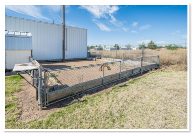 fenced dog park